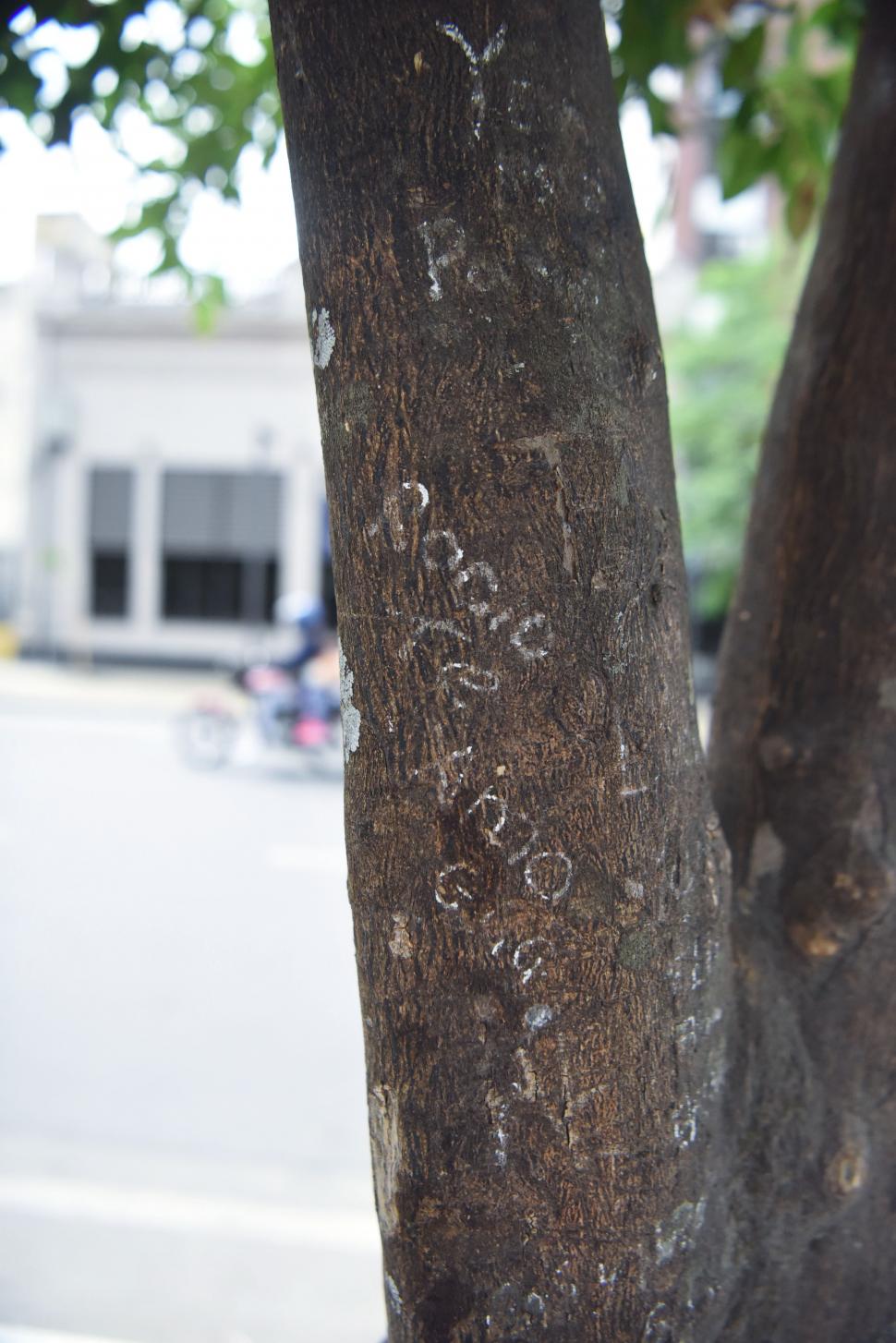 Amor y vandalismo en el corazón de la ciudad