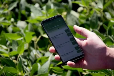 Sima contribuirá con Carbono Bayer en Brasil