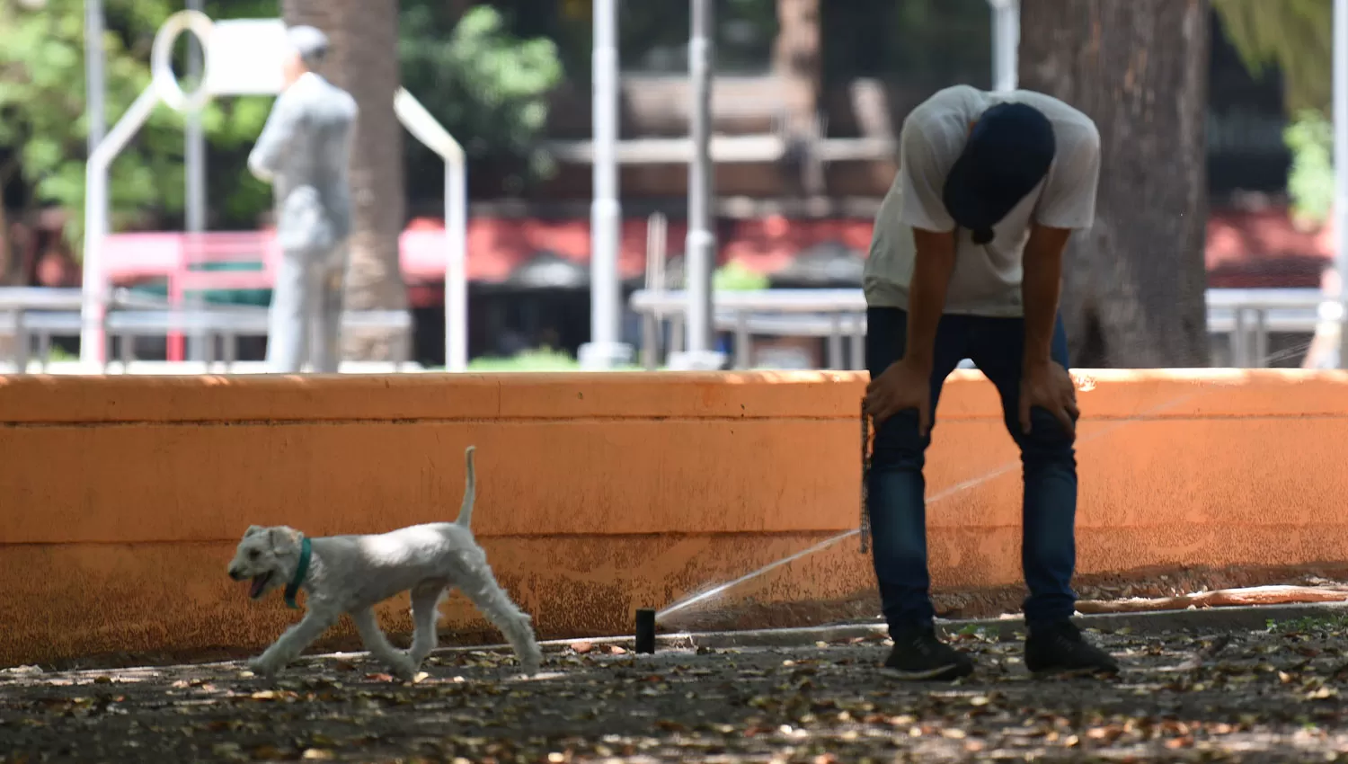 CUIDADO CON EL GOLPE DE CALOR. 