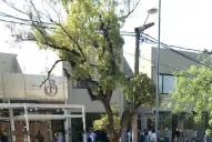 Crimen en Yerba Buena: la defensa busca que se lo declare inimputable