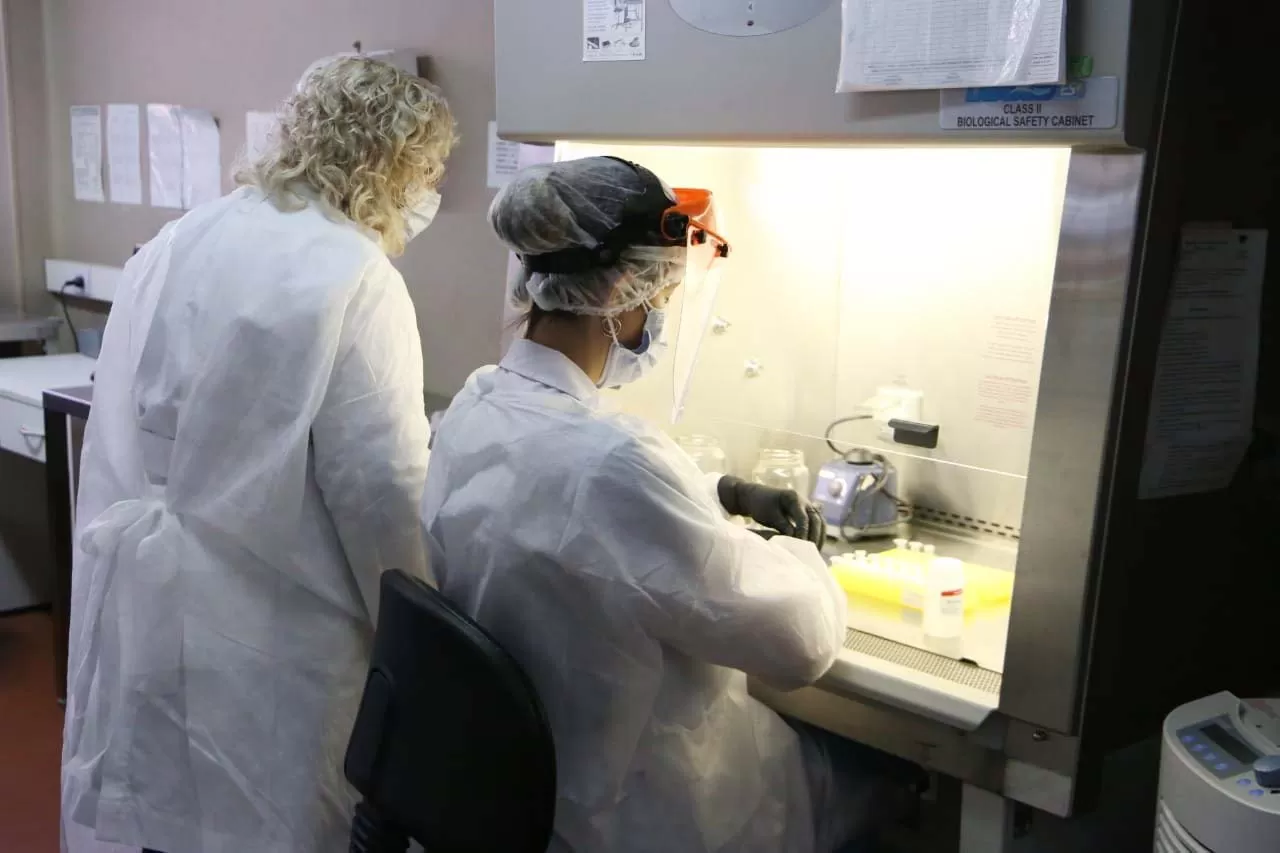 FOTO: PRENSA SIPROSA