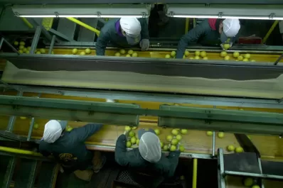 La mano femenina, clave para el éxito en el campo