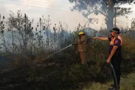 Fotos y videos: así combaten el fuego en distintos puntos de la provincia