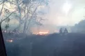 Se vino abajo en pocos segundos todo el laburo de años, dijo un productor tras los incendios
