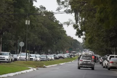 En Yerba Buena los mosquitos aparecieron de golpe