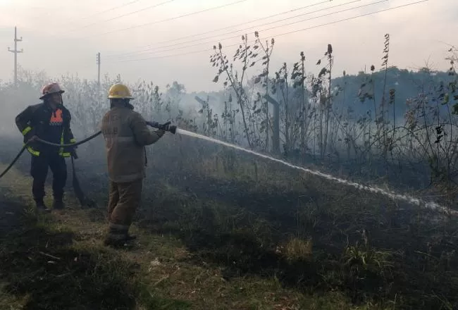 Lograron controlar la mayoría de los incendios