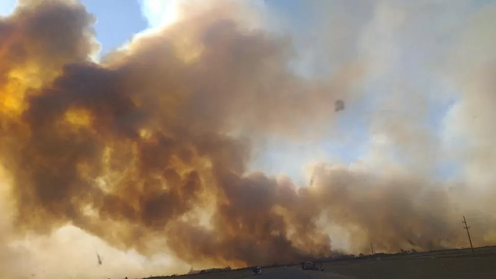 El Comité de Emergencia analizó las medidas para productores afectados por los incendios