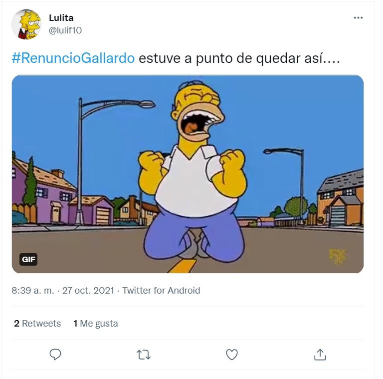 #RenuncióGallardo: la insólita tendencia que desató una ola de memes en las redes sociales