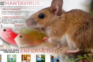 Muerte por hantavirus en Tucumán: ¿Qué es y cómo se previene?