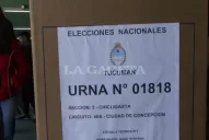 Elecciones: lo que tenés que saber sobre los comicios del domingo 