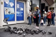 ¿Pueden las escuelas y colegios de Tucumán exigir el acta de nacimiento para inscribir a un alumno?