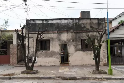 Por qué hace daño podar los árboles