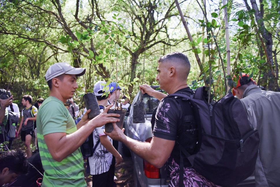 PARA TODOS. Cada voluntario pudo plantar, al menos, un ejemplar.  