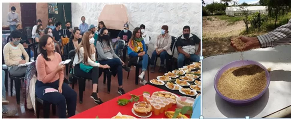 MUESTRA DE PLATOS. Experiencia en la escuela técnica de Amaicha. 