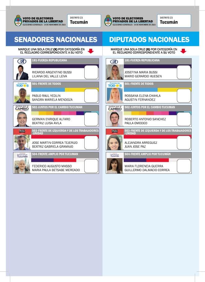 ASÍ SE VE UNA BOLETA AL QUE ACCEDIERON LOS TUCUMANOS RESIDENTES EN EL EXTERIOR. 