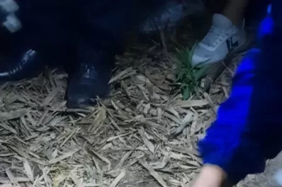 Concepción: hallan la pistola usada en el crimen del panadero