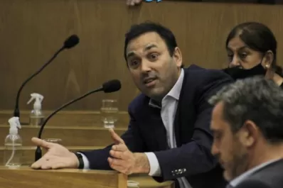 Carrillo sobre Alfaro: “La democracia llora cuando los intereses personales van en detrimento de lo que la sociedad expresa”