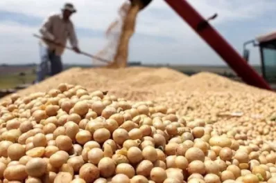 China quiere producir más soja para lograr autosuficiencia en tres años