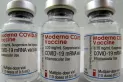 Moderna tendría listo un refuerzo para la variante Ómicron en marzo