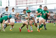 Los Pumas fueron goleados por Irlanda en el cierre del año