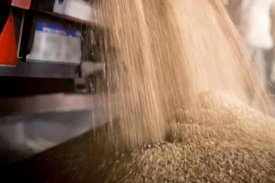 Preocupa al campo la falta de lluvias, que podría extenderse hasta mediados de marzo