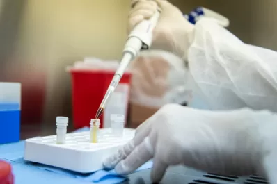 Coronavirus en Argentina: 35 muertes y 2.332 casos en las últimas 24 horas