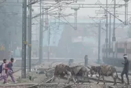 ¡Alarma en la India! Detectaron los primeros casos de la variante Ómicron