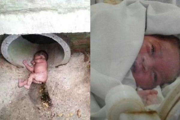 Gatos alertaron sobre una beba recién nacida, abandonada en una alcantarilla