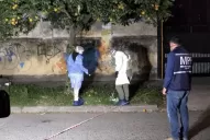 Crimen de las flores: Condenaron al autor de los disparos que asesinaron a Chía Brito  