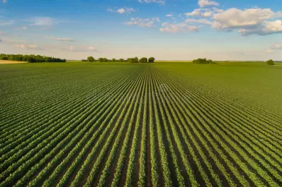 Un fertilizante que beneficie el cultivo y el suelo