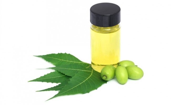 ACEITE DE NEEM. Es un plaguicida de componentes naturales. 
