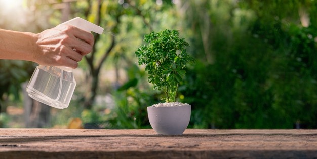 PROTECCIÓN. Con un rociador se aplican los plaguicidas naturales.