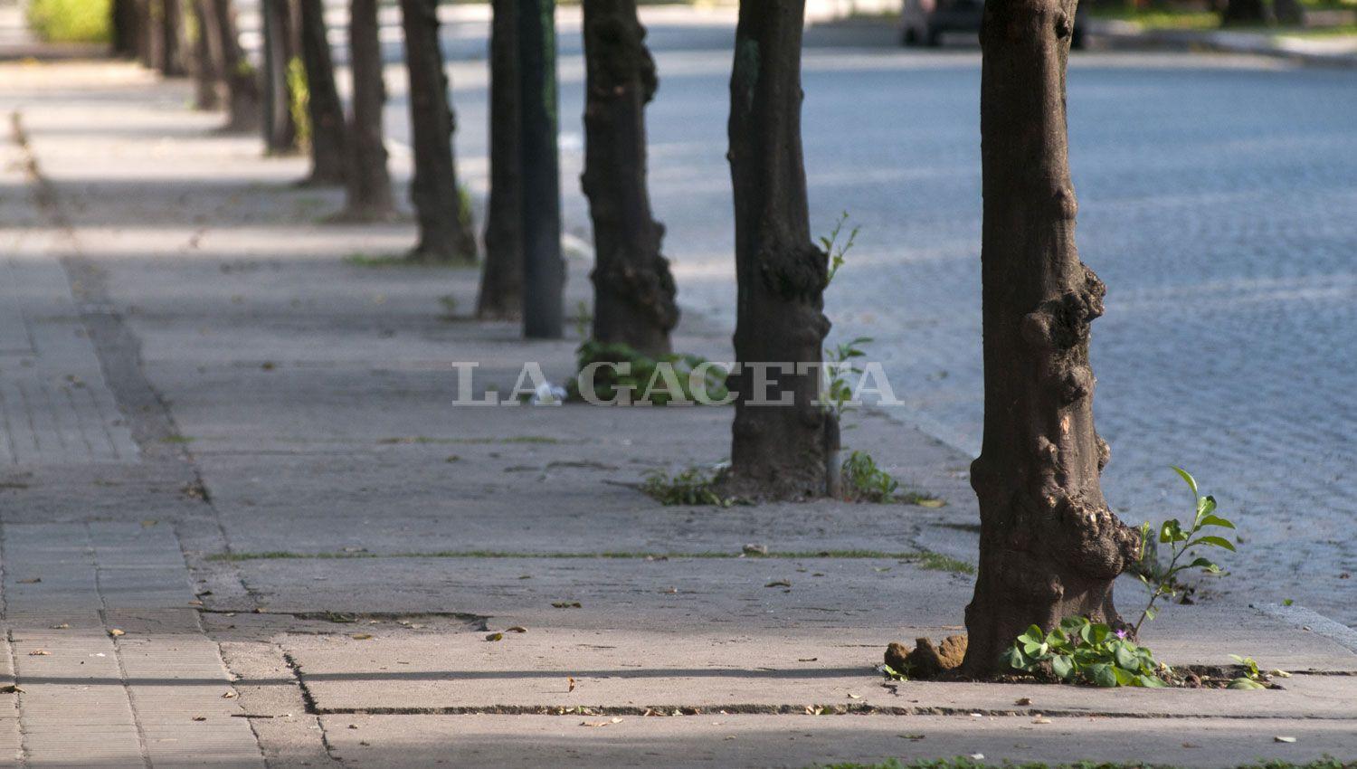 Viernes Santo: todo lo que tenés que saber para organizarte