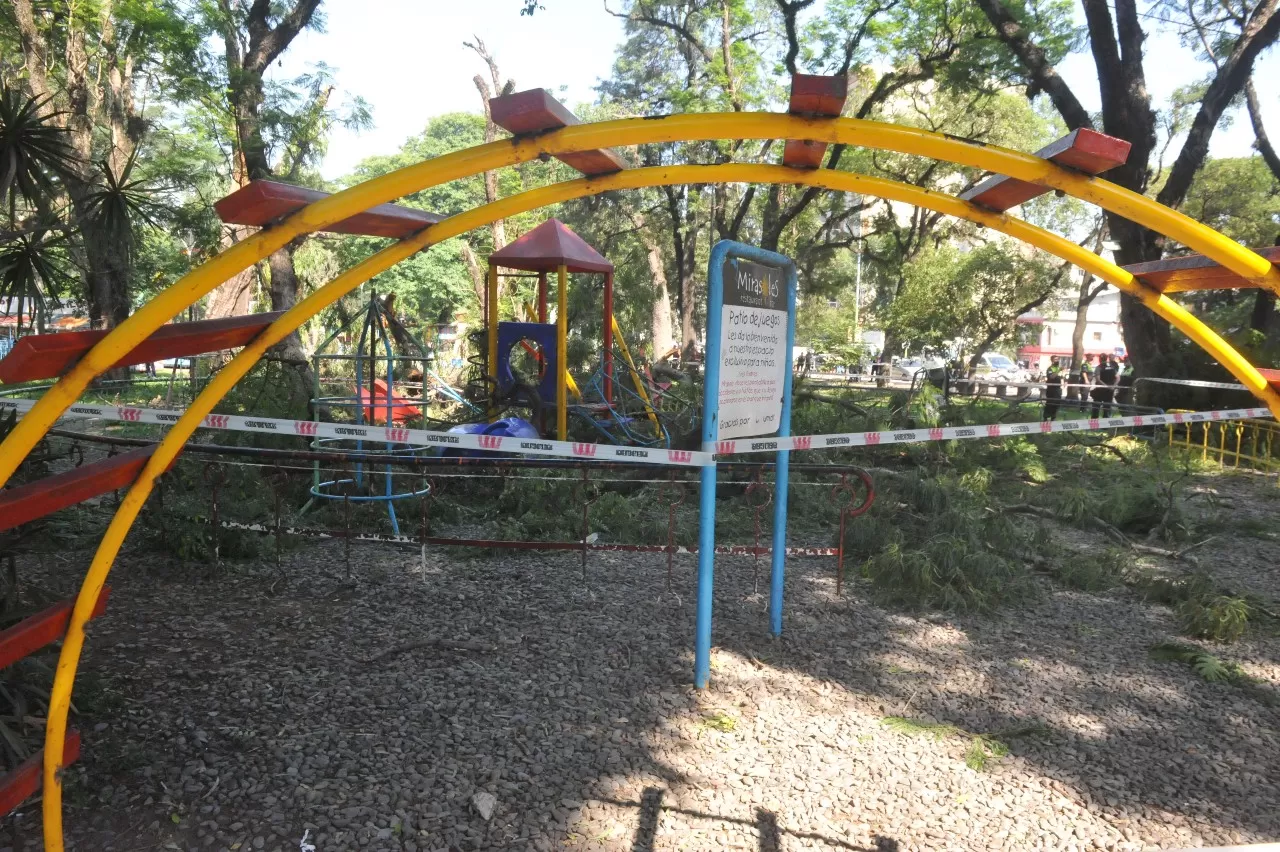 PARQUE AVELLANEDA. El árbol aplastó los juegos y hubo niños heridos.