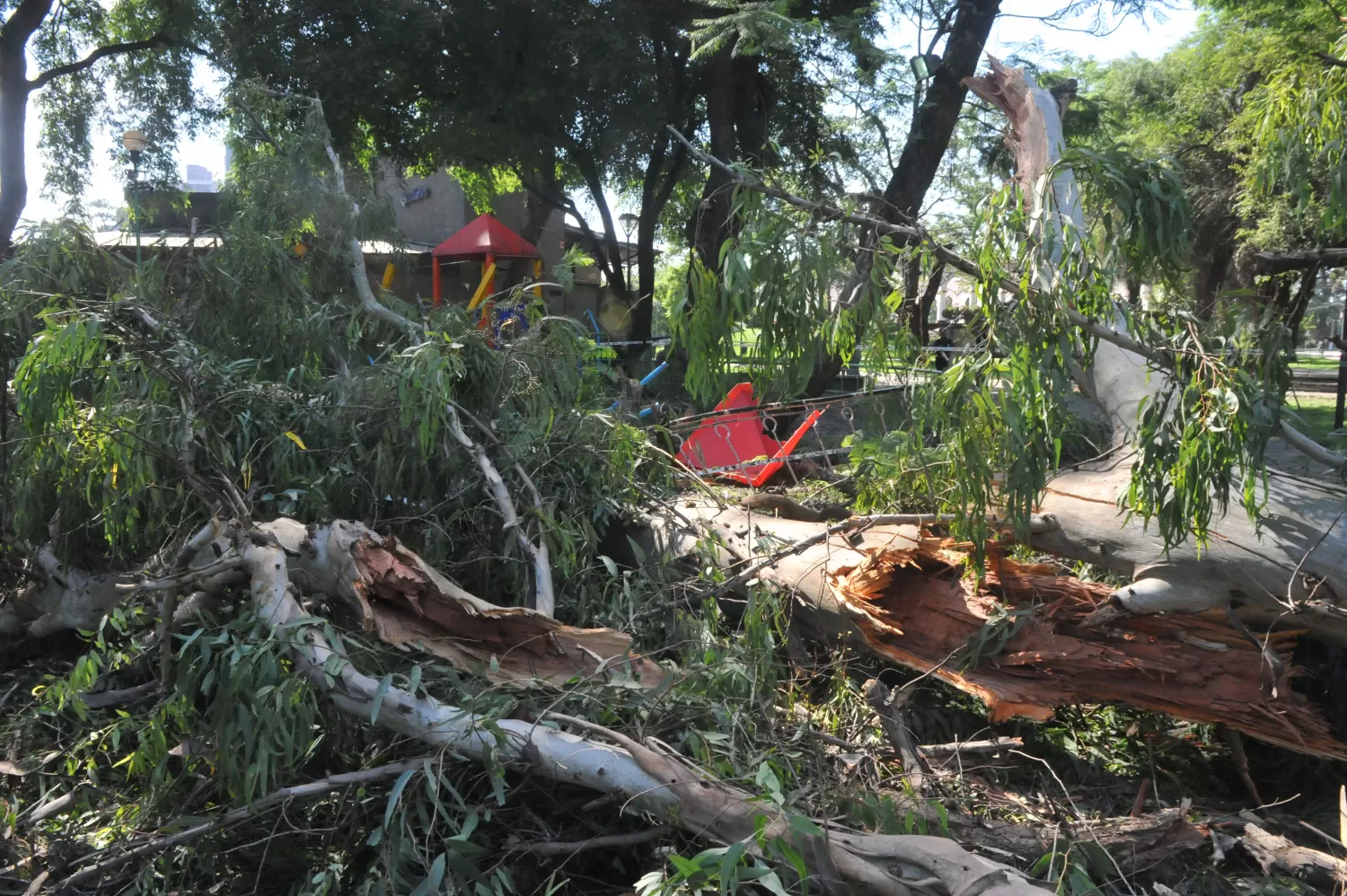 FOTO LA GACETA / ANTONIO FERRONI