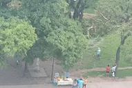 Cayó un árbol sobre los juegos infantiles del parque Avellaneda: hay niños heridos