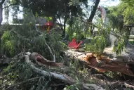 Alfaro se puso a disposición de los padres de los niños heridos en el parque Avellaneda