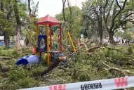 Vio desde el balcón cómo el árbol aplastaba los juegos: una niña estaba toda lastimada