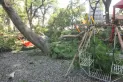 Caída de un árbol en el parque Avellaneda: familiares de la niña internada esperan su evolución