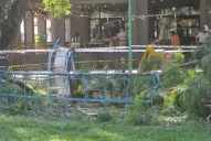 Momentos de terror en el parque Avellaneda: otros relatos de la tragedia