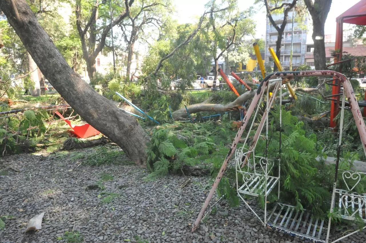 PARQUE AVELLANEDA. Hay cinco niños heridos. FOTO LA GACETA