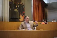 Árbol en el parque Avellaneda: ediles apuntan contra Carlos Arnedo por el episodio