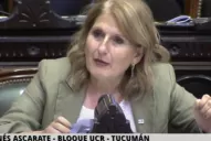 Lidia Ascárate, sobre el paro de transporte: “Este gobierno no tiene idea de cómo garantizar la provisión de ningún servicio público”