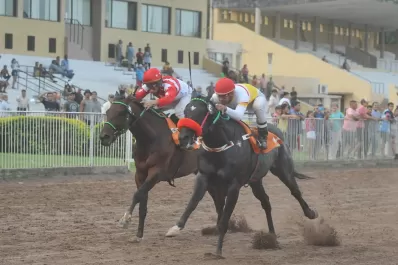 Turf: recuperó su nivel