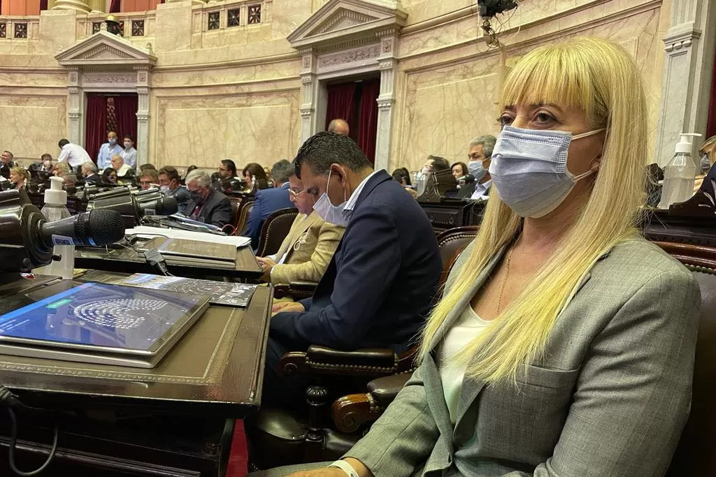ROSSANA CHAHLA en el Congreso