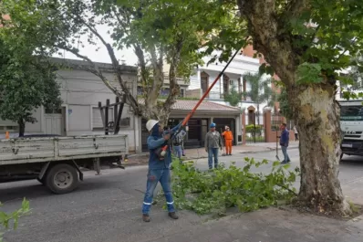 La Municipalidad realizó trabajos de poda y mantenimiento del arbolado urbano