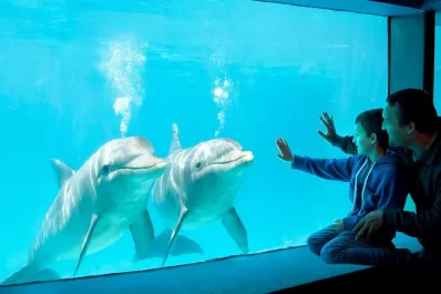 Los parques educativos de Mundo Marino