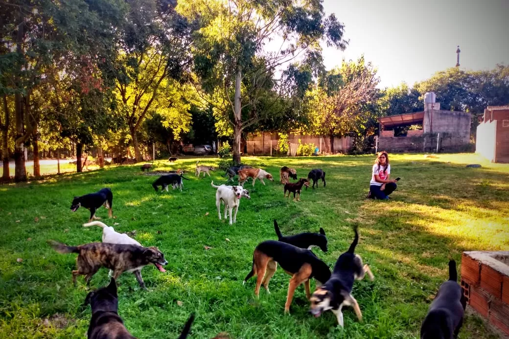 Al aire libre para disfrutar en compañía.