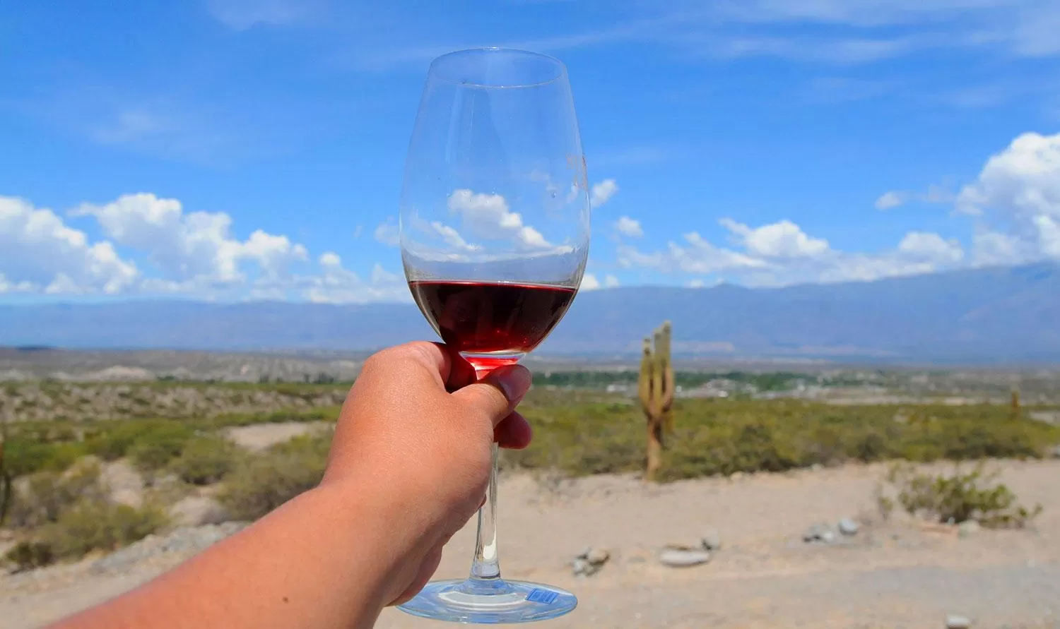 RUTA DEL VINO / COLALAO DEL VALLE (FOTO DE ARCHIVO) 