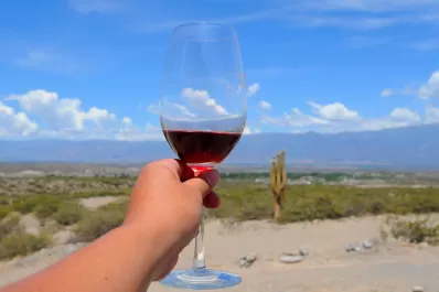 Los dueños de un predio de Colalao del Valle se oponen a la expropiación para el “Museo del Vino”